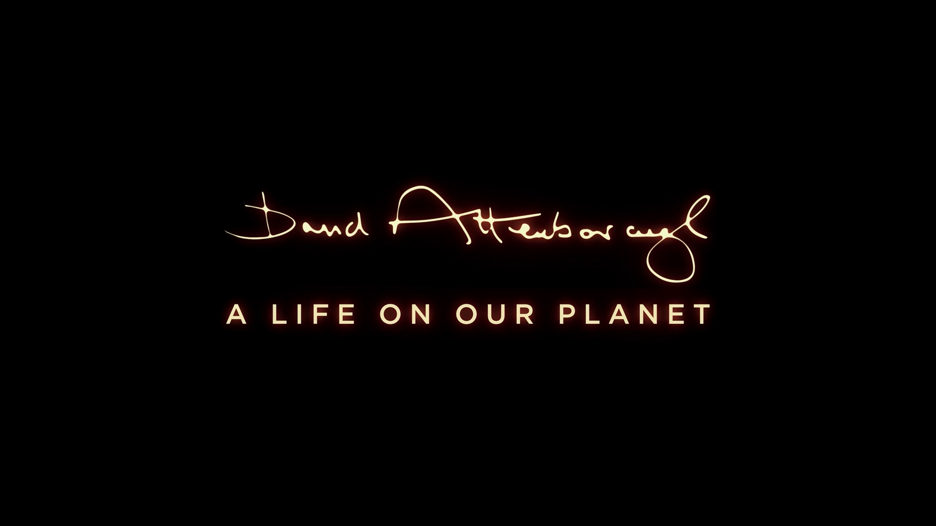 Read more about the article Lessons of a Lifetime: Sir David Attenborough’s “A LIFE ON OUR PLANET”